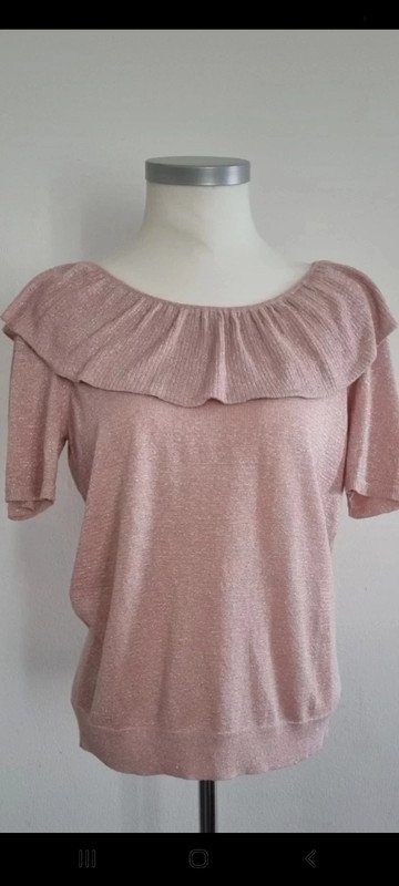Top Claudie Pierlot rose